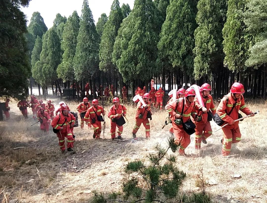 跑马岭景区森林防火扑救联合演练