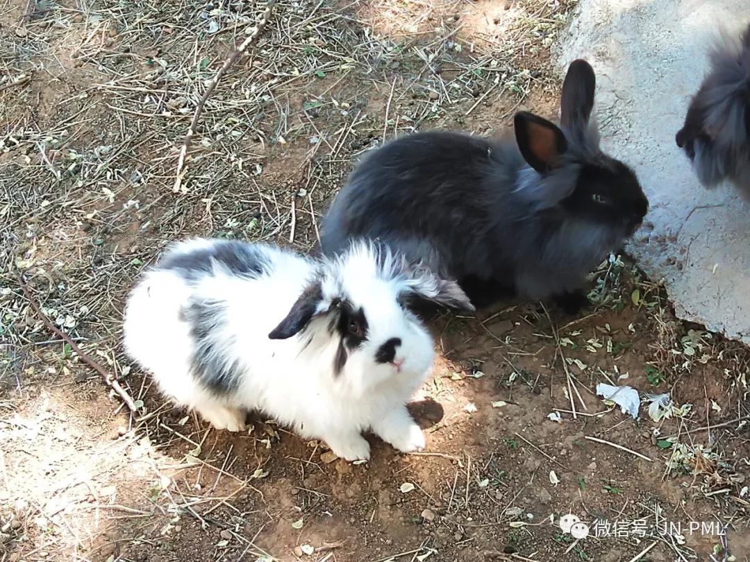 微信图片_20190529160559.jpg