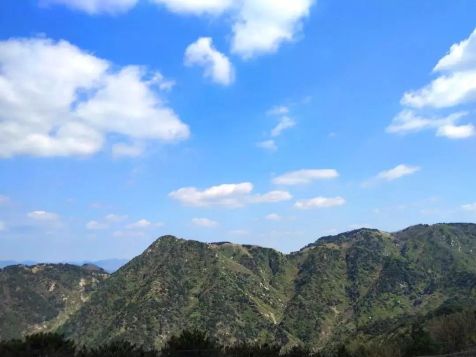 QQ浏览器截图20190507214527.png
