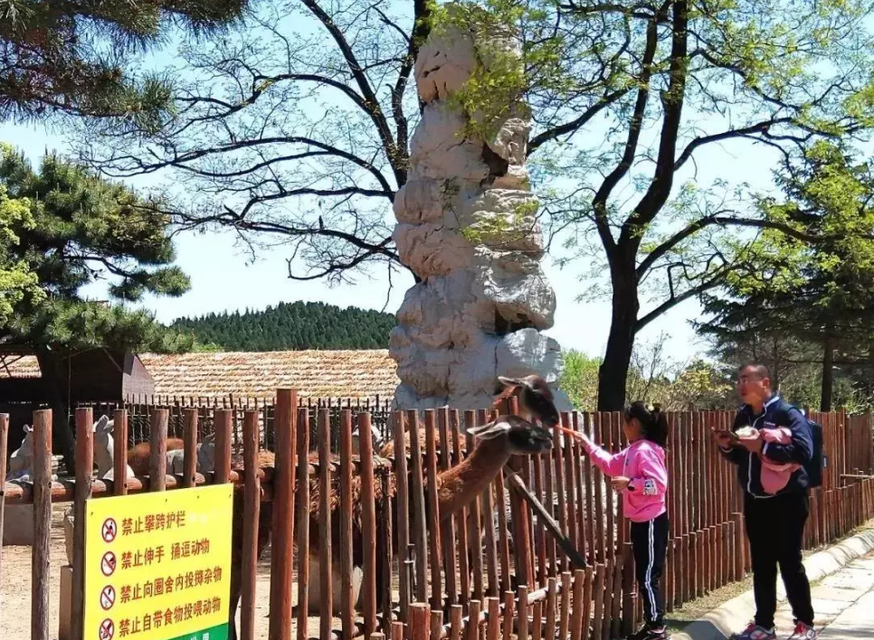 QQ浏览器截图20190507214738.png