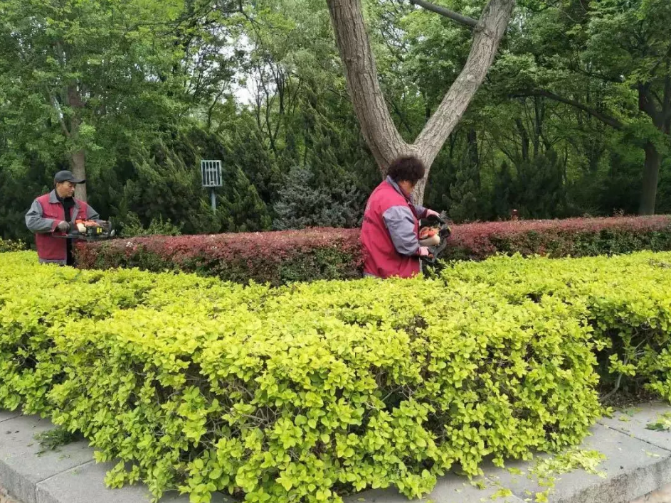QQ浏览器截图20190507215430.png
