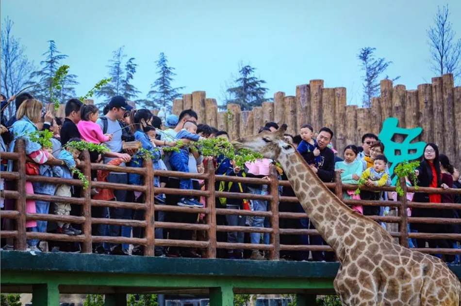 QQ浏览器截图20190507211601.png