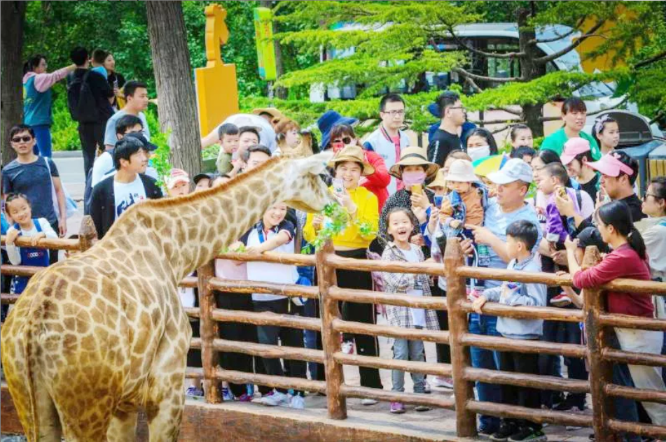QQ浏览器截图20190507214044.png