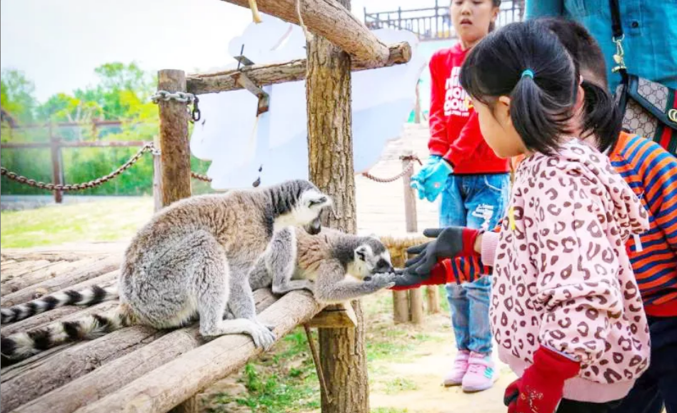 QQ浏览器截图20190507214204.png