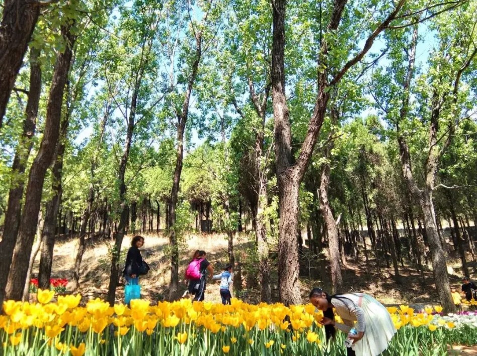 QQ浏览器截图20190507212637.jpg
