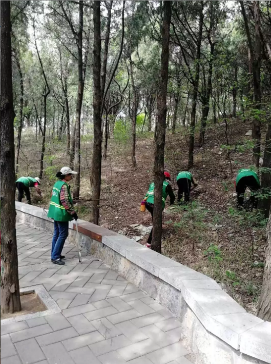 QQ浏览器截图20190507215612.png
