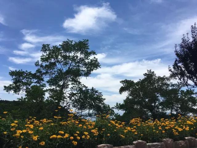 微信图片_20190529160541.jpg 微信图片_20190529160541.jpg