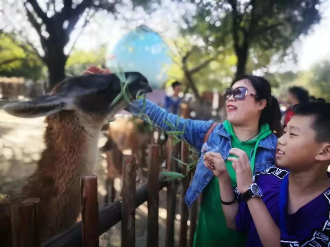 微信图片_20190529160550.jpg 微信图片_20190529160550.jpg