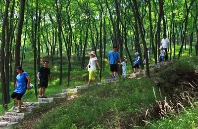 微信图片_20190529160544.jpg 微信图片_20190529160544.jpg