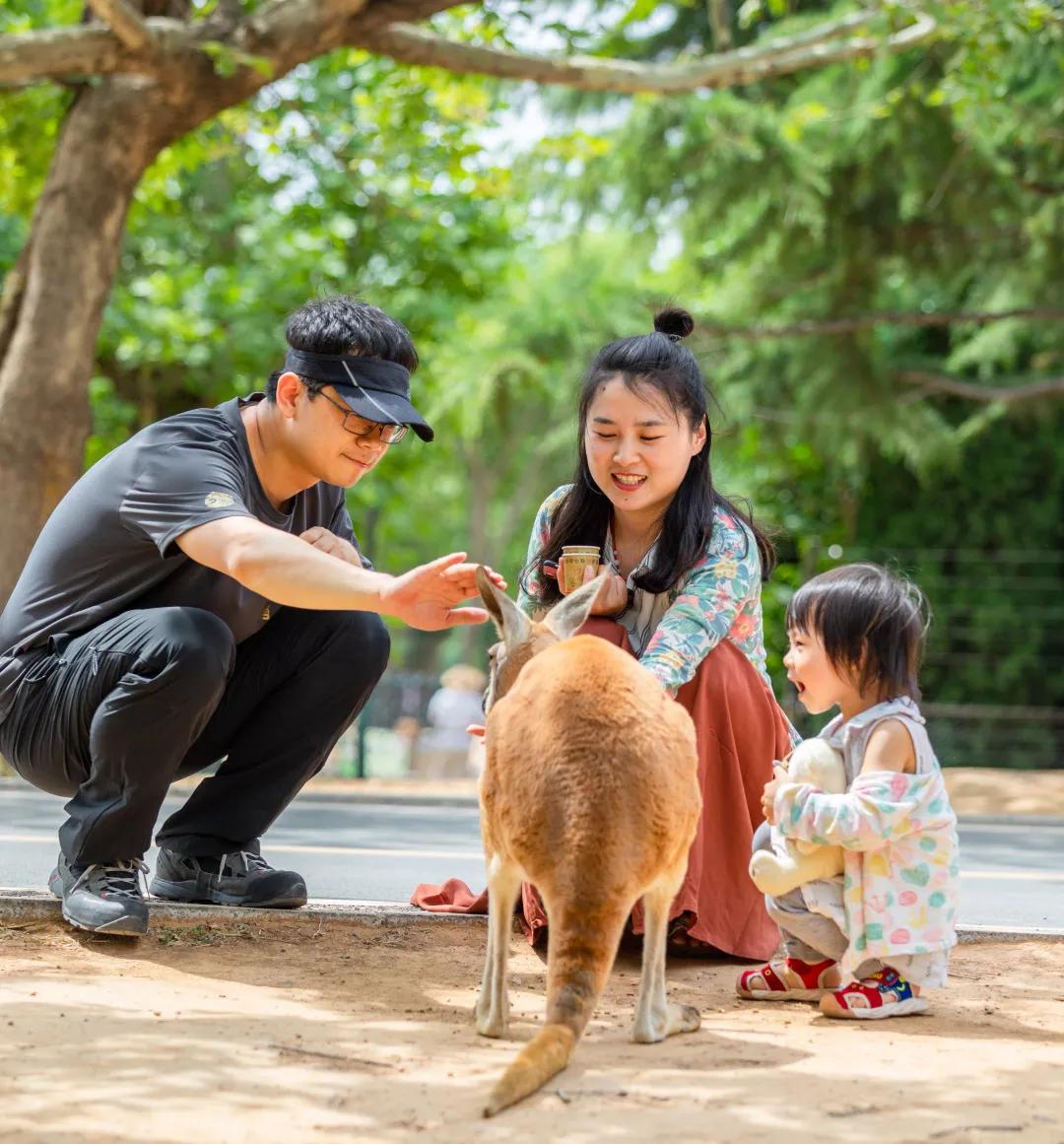 微信图片_20190529172748.jpg