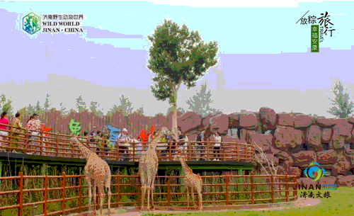 动图1.gif