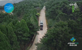 动图4.gif
